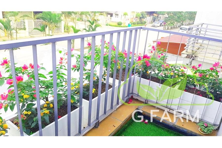 Mẫu thiết kế Ban công - Phong cách Châu Âu (Mã GF25)