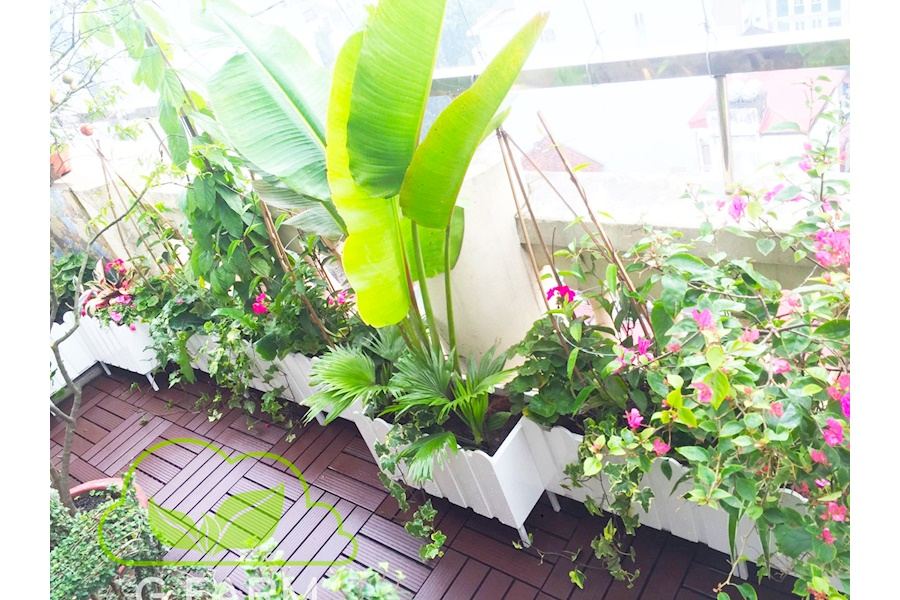 Mẫu thiết kế sân vườn Nhà phố - Phong cách Châu Âu (Mã GF26)