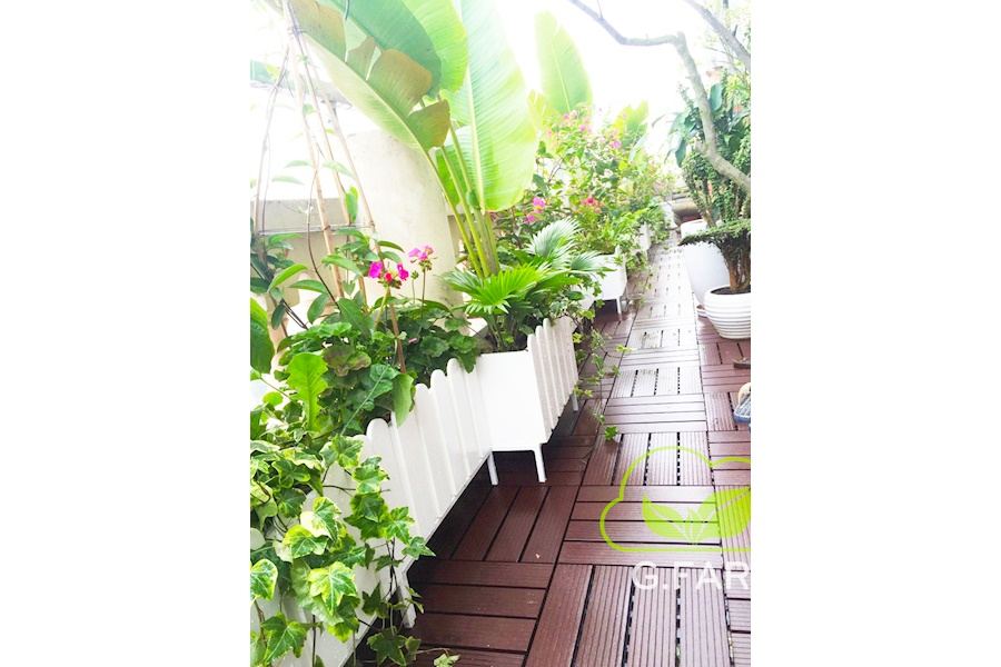 Mẫu thiết kế sân vườn Nhà phố - Phong cách Châu Âu (Mã GF26)