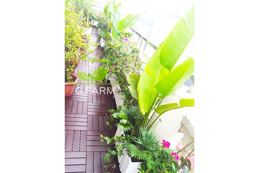 Mẫu thiết kế sân vườn Nhà phố - Phong cách Châu Âu (Mã GF26)