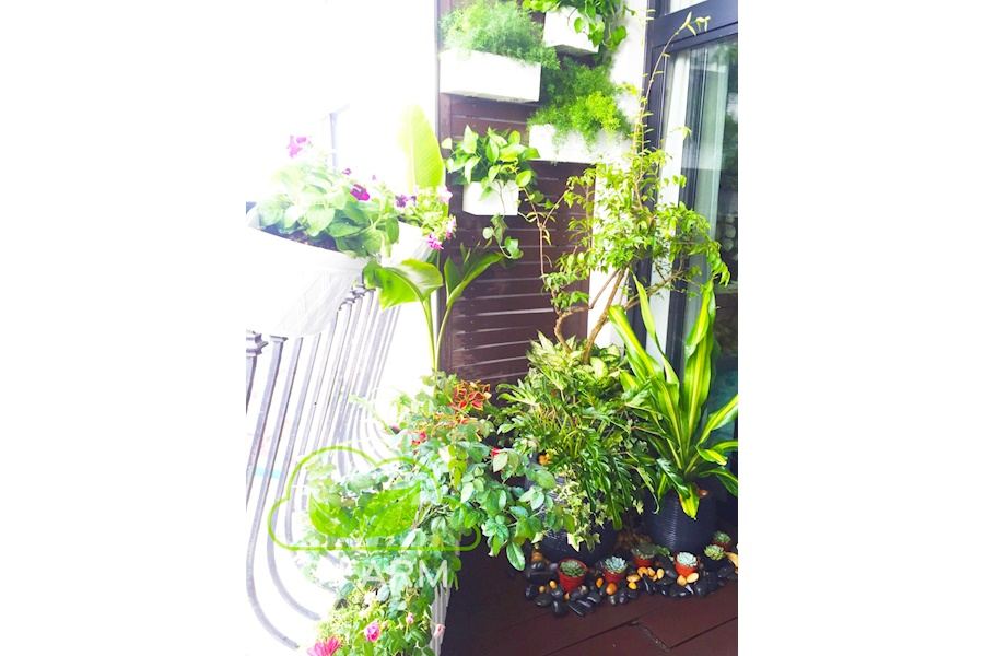 Mẫu thiết kế Ban công - Phong cách Châu Âu (Mã GF27)