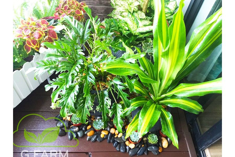 Mẫu thiết kế Ban công - Phong cách Châu Âu (Mã GF27)