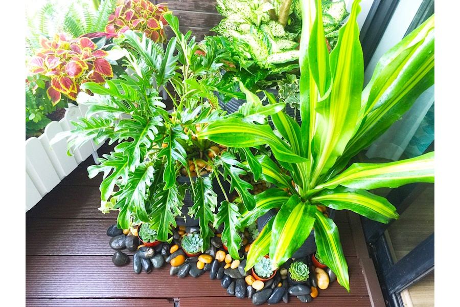 Mẫu thiết kế Ban công - Phong cách Châu Âu (Mã GF27)