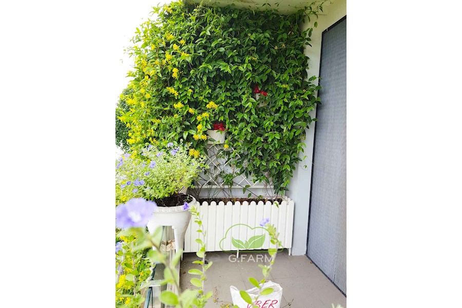 Mẫu thiết kế Ban công - Phong cách Châu Âu (Mã GF28)