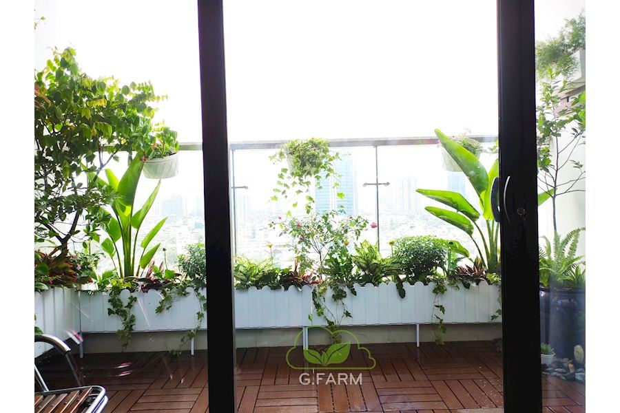 Mẫu thiết kế Ban công - Phong cách Phối hợp (Mã GF3)
