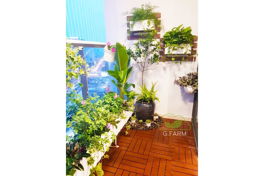 Mẫu thiết kế Ban công - Phong cách Phối hợp (Mã GF3)
