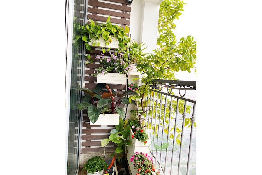 Mẫu thiết kế Ban công - Phong cách Châu Âu (Mã GF31)