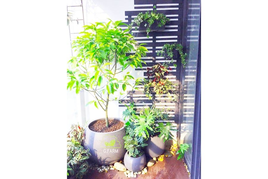 Mẫu thiết kế Ban công - Phong cách Châu Âu (Mã GF35)