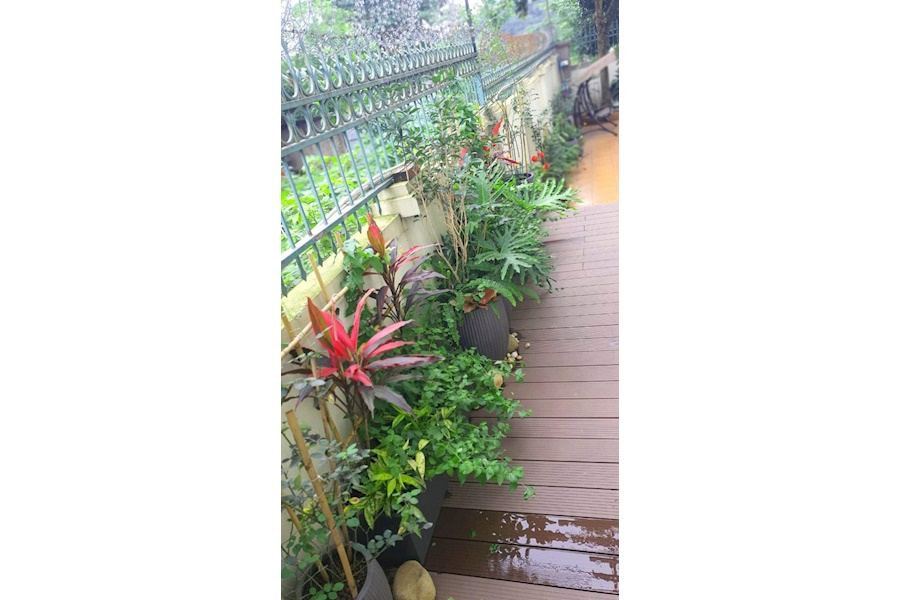 Mẫu thiết kế Ban công - Phong cách Châu Âu (Mã GF35)