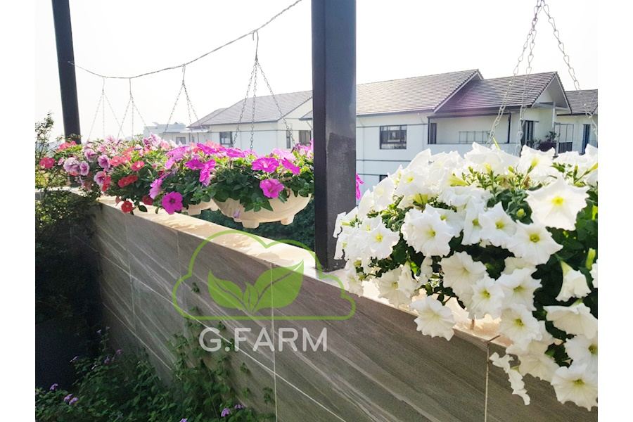 Mẫu thiết kế Ban công - Phong cách Nhật (Mã GF36)