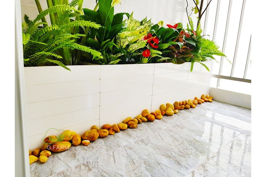 Mẫu thiết kế Ban công - Phong cách Phối hợp (Mã GF37)