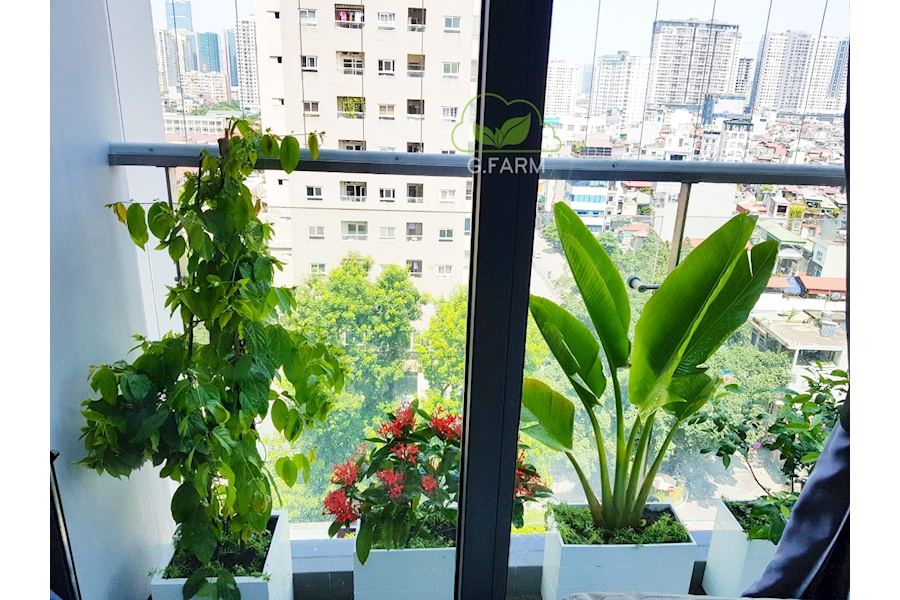 Mẫu thiết kế Ban công - Phong cách Phối hợp (Mã GF38)
