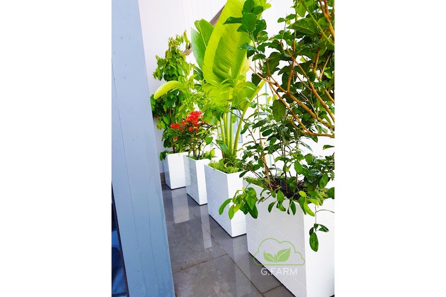 Mẫu thiết kế Ban công - Phong cách Phối hợp (Mã GF38)