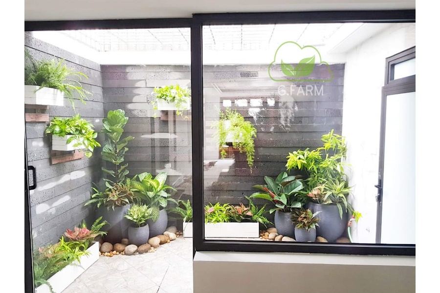 Mẫu thiết kế sân vườn Nhà phố - Phong cách Phối hợp (Mã GF4)