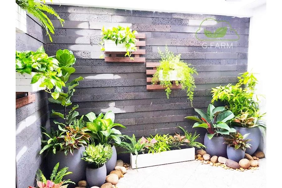 Mẫu thiết kế sân vườn Nhà phố - Phong cách Phối hợp (Mã GF4)