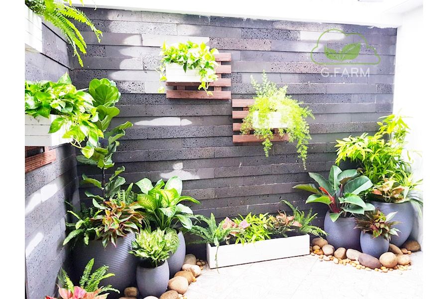 Mẫu thiết kế sân vườn Nhà phố - Phong cách Phối hợp (Mã GF4)