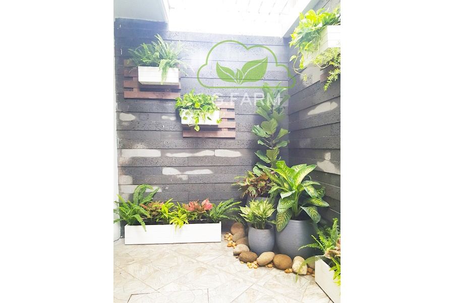 Mẫu thiết kế sân vườn Nhà phố - Phong cách Phối hợp (Mã GF4)