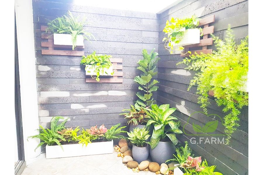 Mẫu thiết kế sân vườn Nhà phố - Phong cách Phối hợp (Mã GF4)