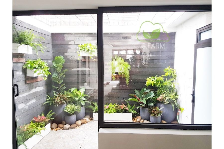 Mẫu thiết kế sân vườn Nhà phố - Phong cách Phối hợp (Mã GF4)