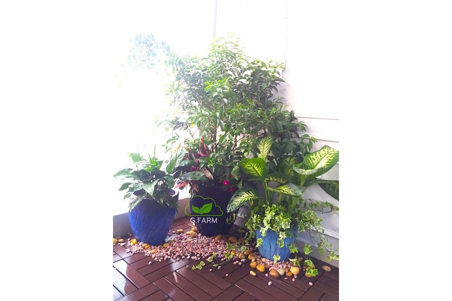 Mẫu thiết kế Ban công - Phong cách Châu Âu (Mã GF40)