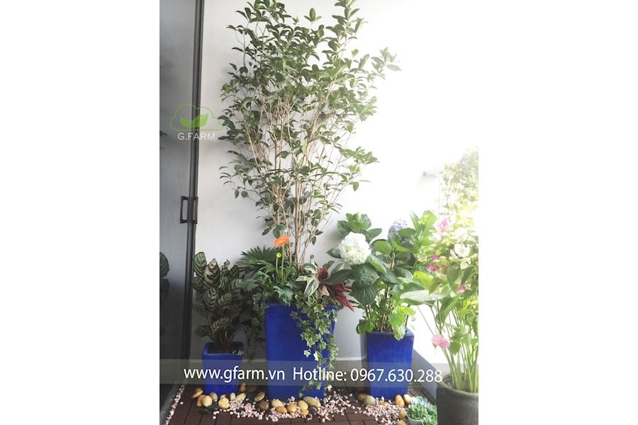 Mẫu thiết kế Ban công - Phong cách Châu Âu (Mã GF40)