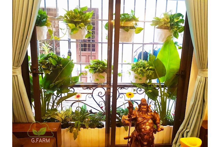 Mẫu thiết kế Ban công - Phong cách Phối hợp (Mã GF41)