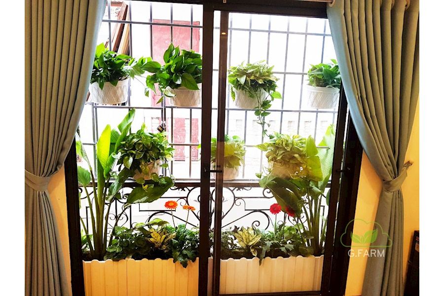 Mẫu thiết kế Ban công - Phong cách Phối hợp (Mã GF41)