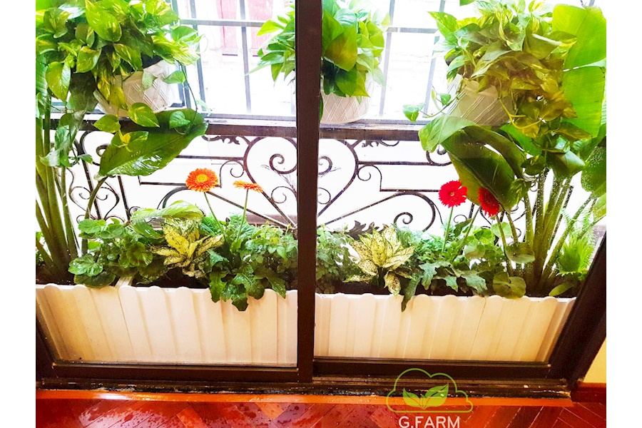 Mẫu thiết kế Ban công - Phong cách Phối hợp (Mã GF41)