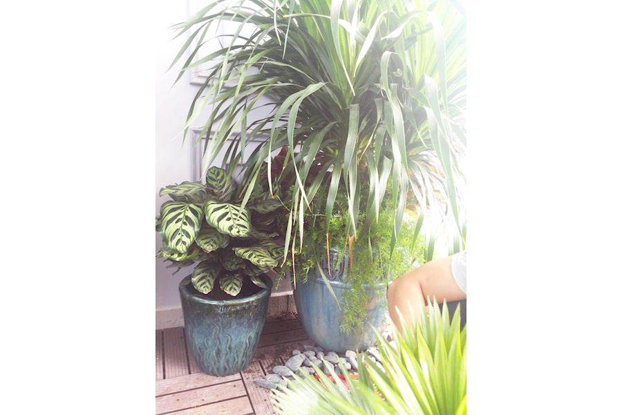 Mẫu thiết kế Ban công - Phong cách Phối hợp (Mã GF44)