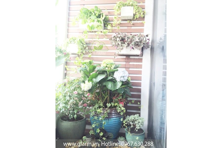 Mẫu thiết kế Ban công - Phong cách Phối hợp (Mã GF44)