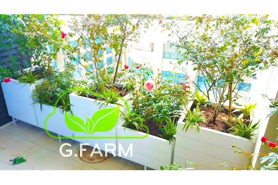 Mẫu thiết kế Ban công - Phong cách Phối hợp (Mã GF45)
