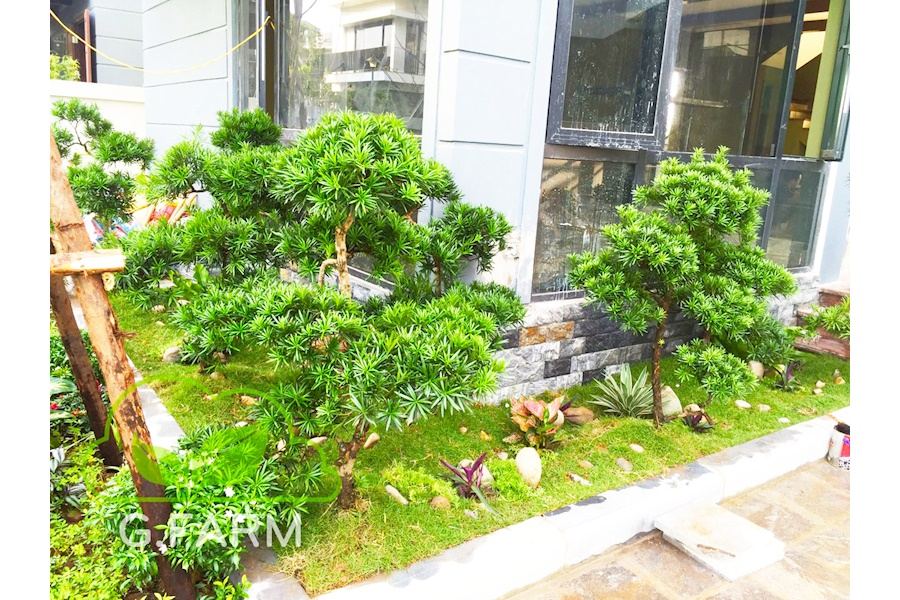 Mẫu thiết kế sân vườn Biệt thự - Phong cách Phối hợp (Mã GF46)