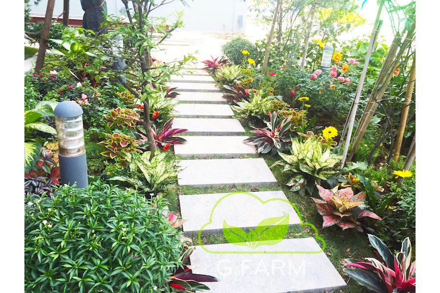 Mẫu thiết kế sân vườn Biệt thự - Phong cách Phối hợp (Mã GF46)