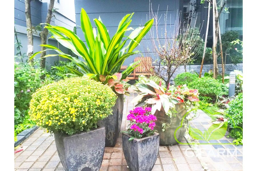 Mẫu thiết kế sân vườn Biệt thự - Phong cách Phối hợp (Mã GF46)