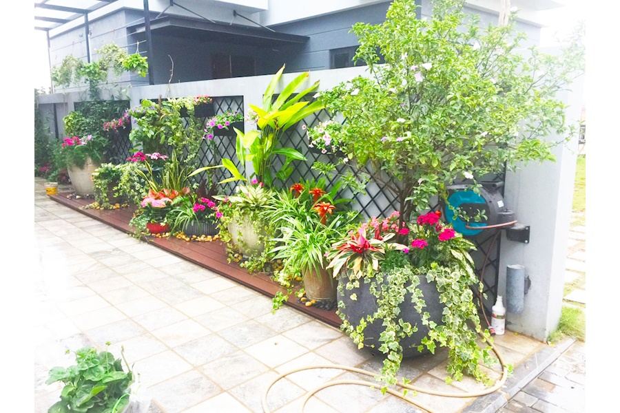 Mẫu thiết kế sân vườn Biệt thự - Phong cách Phối hợp (Mã GF46)