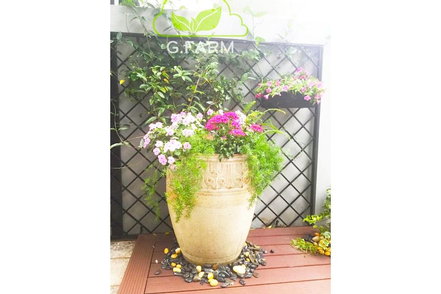 Mẫu thiết kế sân vườn Biệt thự - Phong cách Phối hợp (Mã GF46)