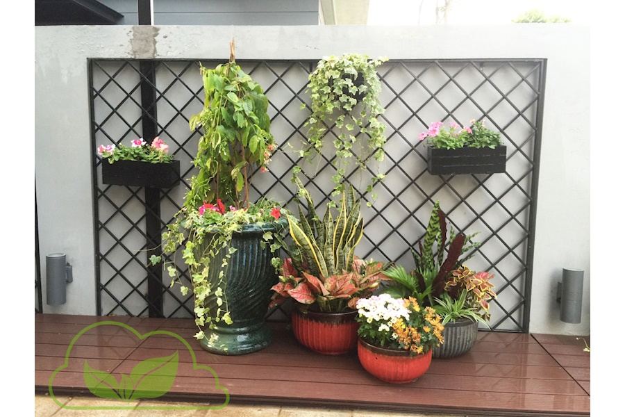 Mẫu thiết kế sân vườn Biệt thự - Phong cách Phối hợp (Mã GF46)