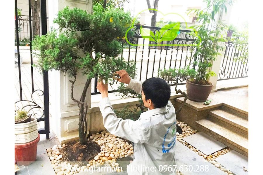 Mẫu thiết kế sân vườn Biệt thự - Phong cách Nhật (Mã GF47)