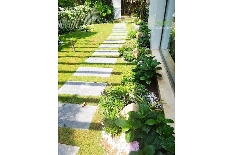 Mẫu thiết kế sân vườn Biệt thự - Phong cách Châu Âu (Mã GF48)