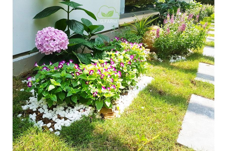 Mẫu thiết kế sân vườn Biệt thự - Phong cách Châu Âu (Mã GF48)