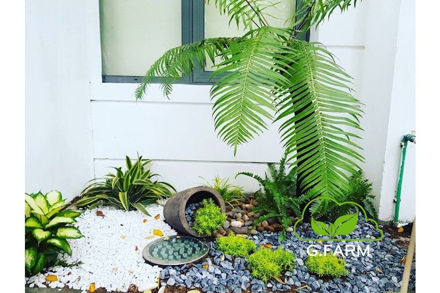 Mẫu thiết kế sân vườn Biệt thự - Phong cách Châu Âu (Mã GF48)