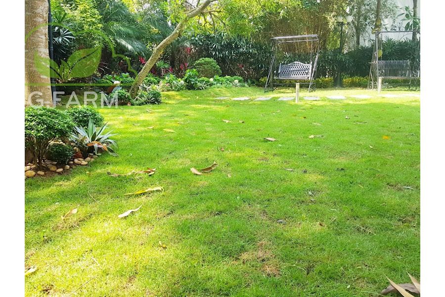 Mẫu thiết kế sân vườn Biệt thự - Phong cách Châu Âu (Mã GF48)
