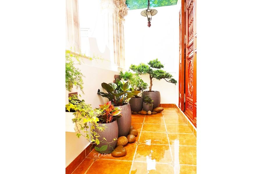 Mẫu thiết kế sân vườn Nhà phố - Phong cách Phối hợp (Mã GF5)