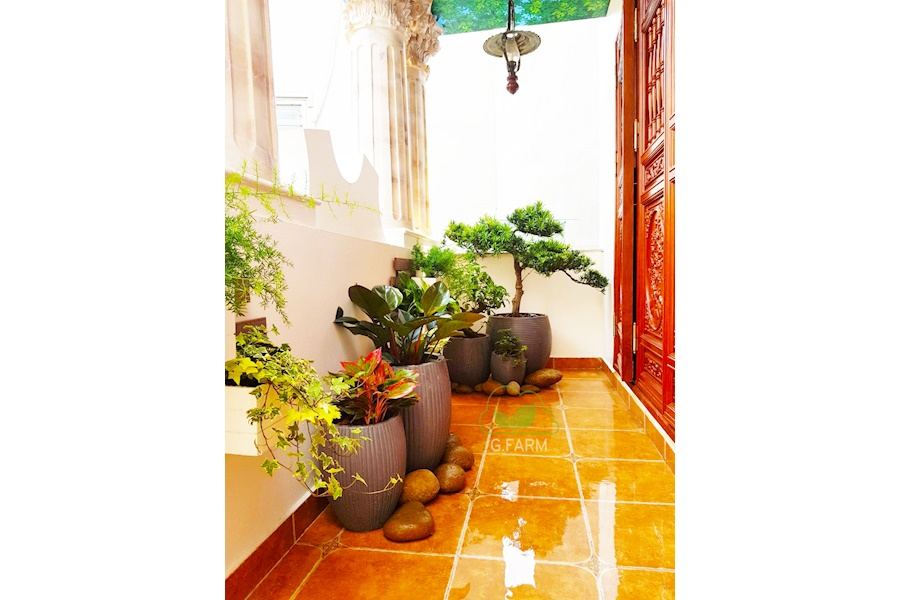 Mẫu thiết kế sân vườn Nhà phố - Phong cách Phối hợp (Mã GF5)