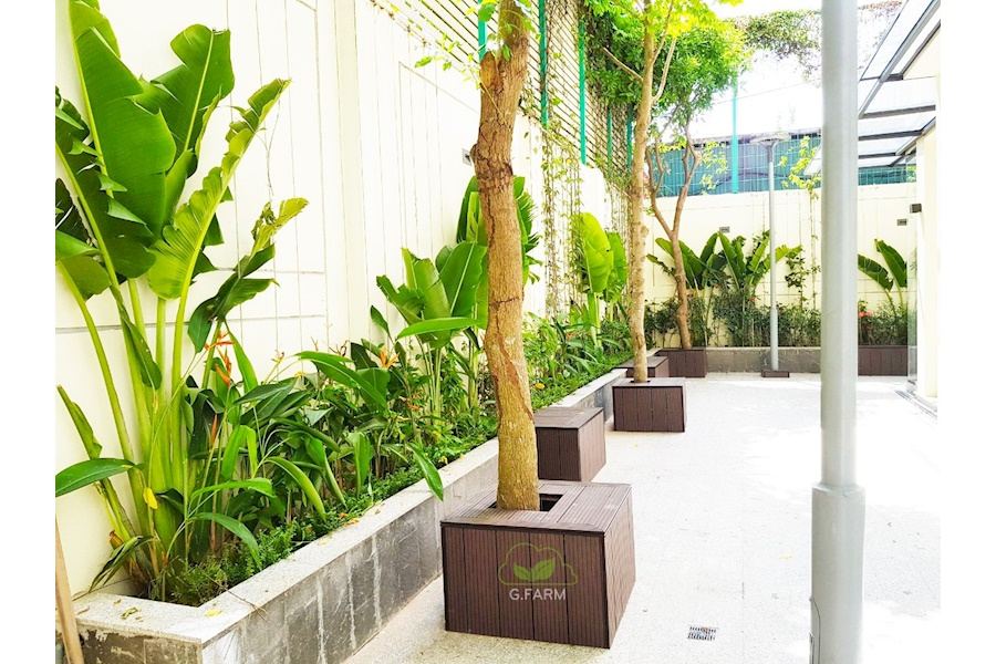 Mẫu thiết kế sân vườn Biệt thự - Phong cách Phối hợp (Mã GF52)