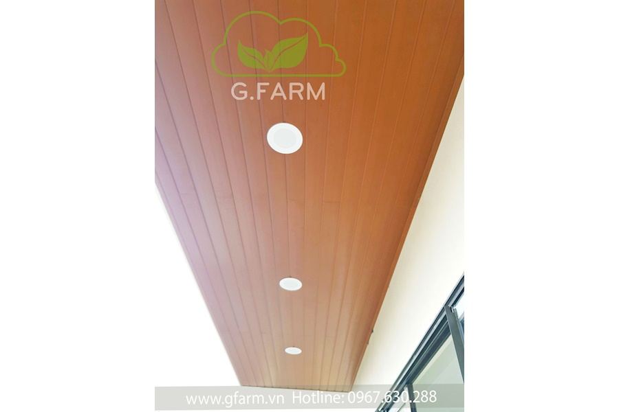 Mẫu thiết kế sân vườn Biệt thự - Phong cách Phối hợp (Mã GF53)