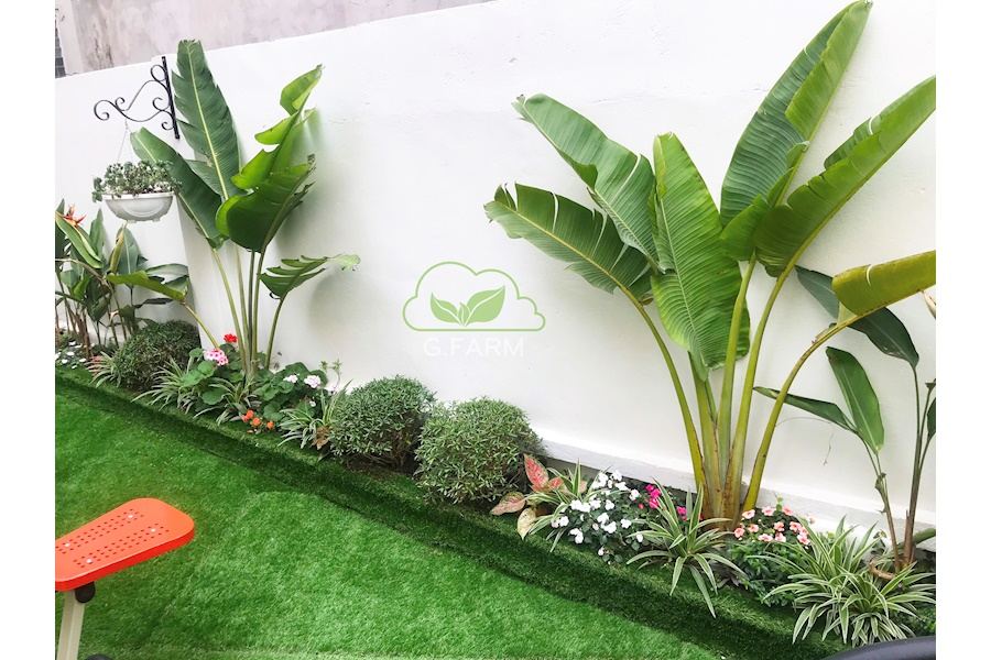 Mẫu thiết kế sân vườn Biệt thự - Phong cách Phối hợp (Mã GF54)