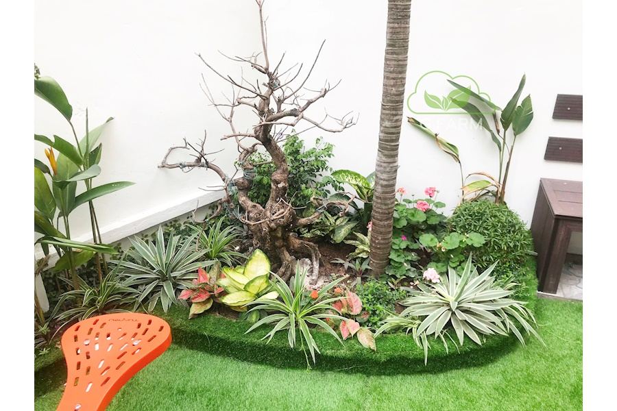 Mẫu thiết kế sân vườn Biệt thự - Phong cách Phối hợp (Mã GF54)