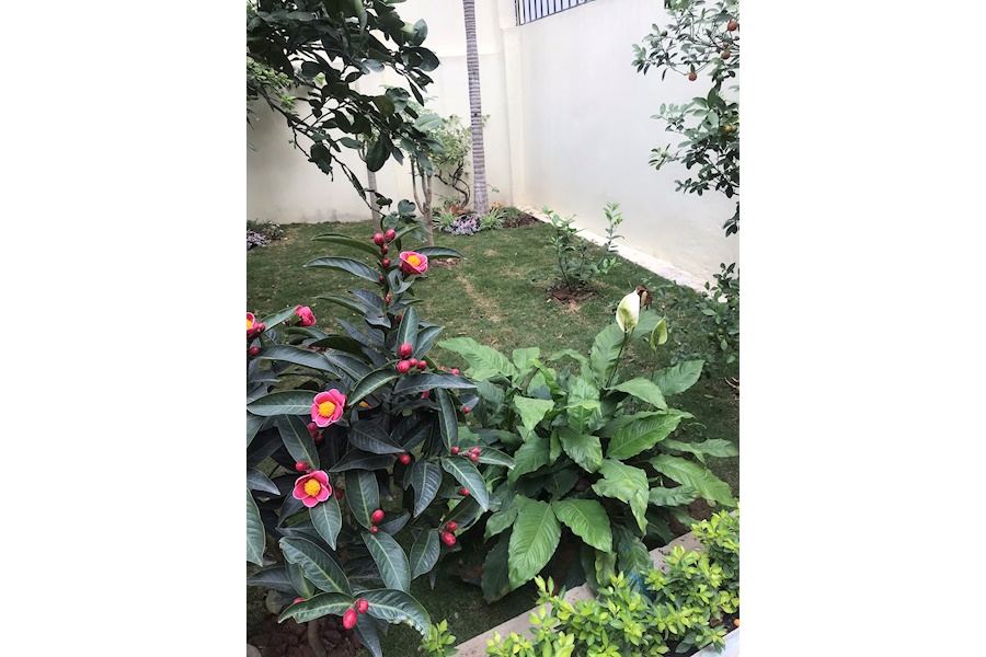Mẫu thiết kế sân vườn Biệt thự - Phong cách Phối hợp (Mã GF54)