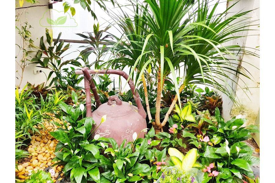 Mẫu thiết kế sân vườn Nhà phố - Phong cách Phối hợp (Mã GF58)